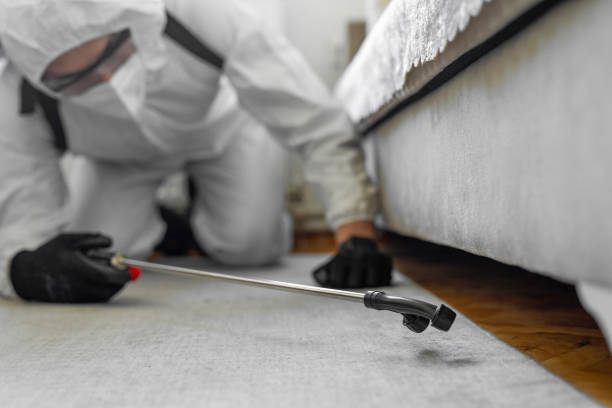 Professional Bed Bug Control technician working in Gaylord, MN