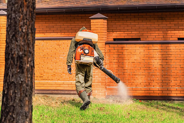 Trusted Cockroach Control service in Gaylord, MN - Nex Pest Control